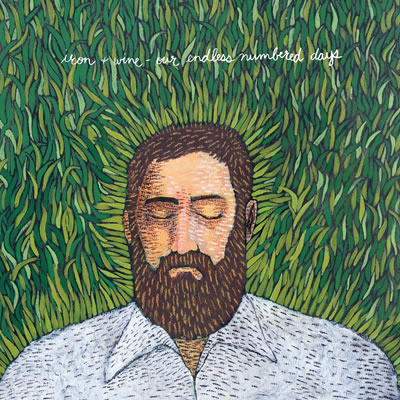 iron and wine our endless numbered days